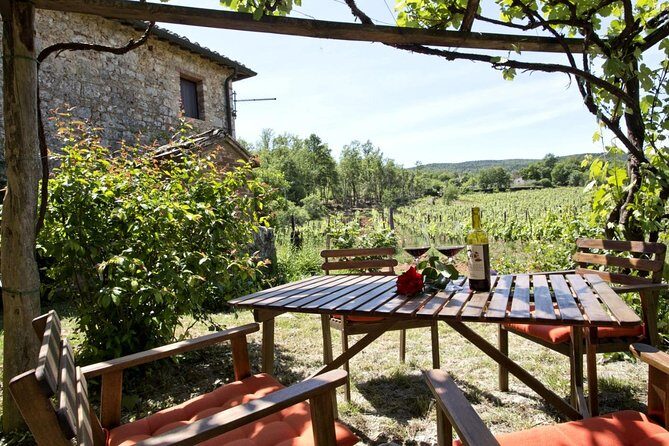 Private tour from Livorno port to Chianti Wine Region - A Closer Look at the Cost and Value