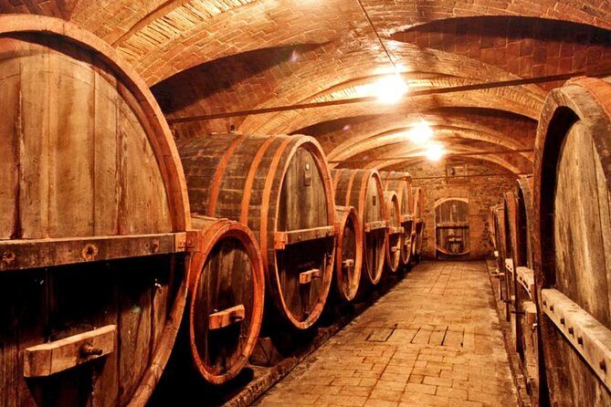 Private tour from Livorno port to Chianti Wine Region - Final Thoughts