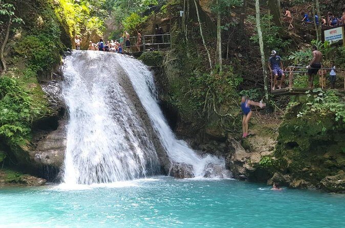 Private Tour from Montego Bay to Horse Back Riding and Bluehole - The Full Experience: A Closer Look at the Tour