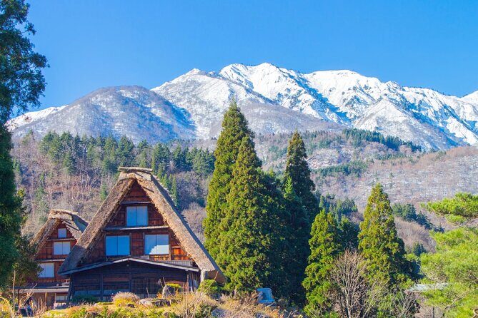 Private Tour from Nagoya to Takayama and Shirakawa-go - An In-Depth Look at the Tour Experience