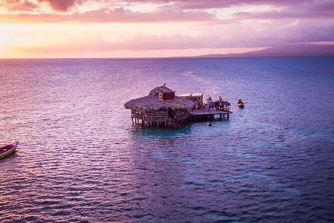 Private Tour from Negril to YS Falls and Pelican Bar - Frequently Asked Questions