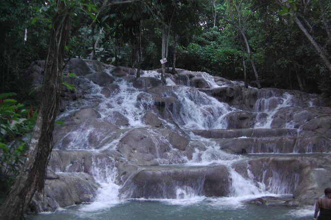 Private Tour From Ocho Rios To Dunn's River Falls - Who Should Consider This Tour?