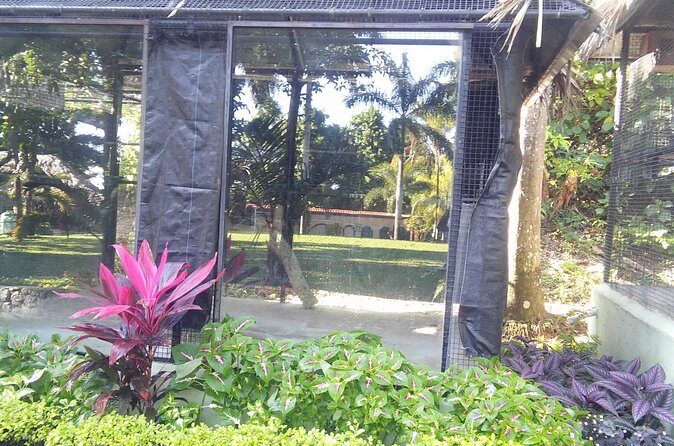 Private Tour From Ocho Rios To Konoko Falls And Garden and Shopping - Who Would Love This Tour?