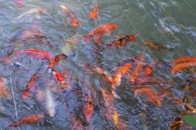 Private Tour From Ocho Rios To Konoko Falls And Garden and Shopping - Frequently Asked Questions