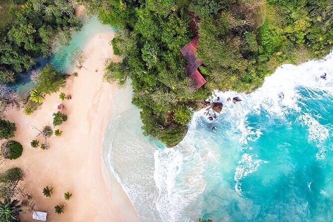 Private tour from Ocho Rios to Port Antonio & Frenchman cove - The Sum Up: Is This Tour Right for You?