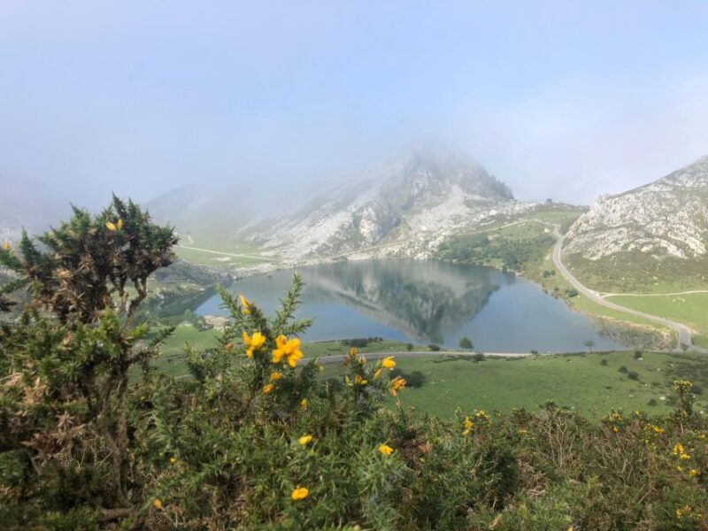 Private Tour from Oviedo to Covadonga and Europe Peaks lakes - In-Depth Review of the Tour