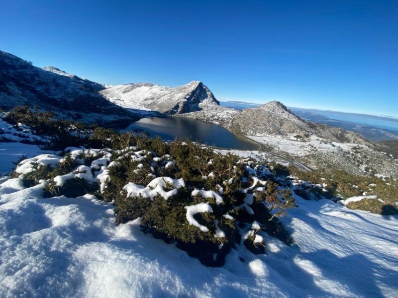 Private Tour from Oviedo to Covadonga and Europe Peaks lakes - Final Thoughts