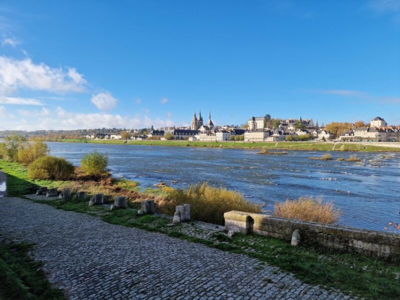 Private Tour from Paris to Loire Castles & Michelin Lunch - A Private Day Trip from Paris to the Loire Castles & Michelin Lunch: Full Review