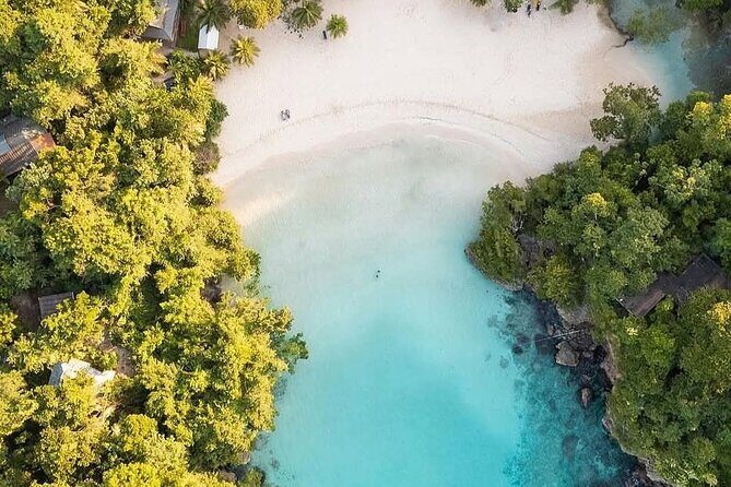 Private tour from Port Antonio to Frenchman's Cove - A Day exploring the scenic wonders of Portland, Jamaica