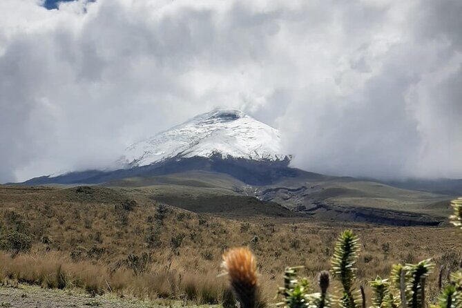 Private Tour from Quito to Cotopaxi Volcano + Rose Plantation - A Detailed Look at the Tour Experience