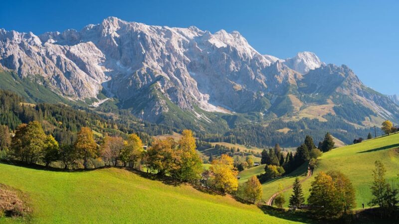 Private tour from Salzburg to Vienna and back in English - The Itinerary in Detail