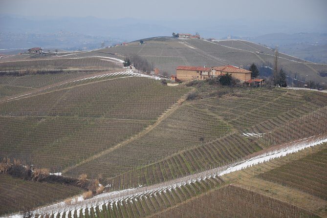 Private tour from Turin: Full day Langhe Region with its Colors and Flavors - Considerations and Tips