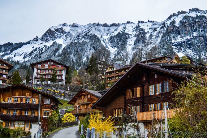 Private tour from Zurich to Interlaken and Lauterbrunnen Valley - Authentic Experiences and Real-World Insights