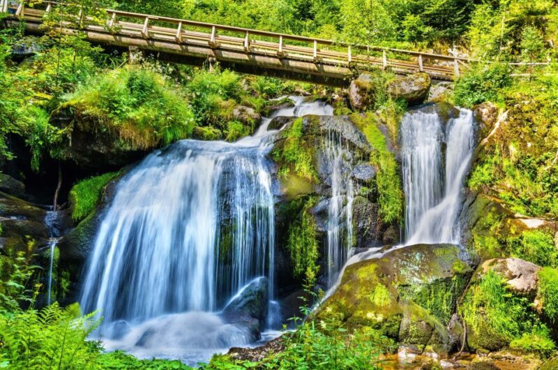 Private Tour from Zurich to Rhine Falls and Black Forest - Key Points
