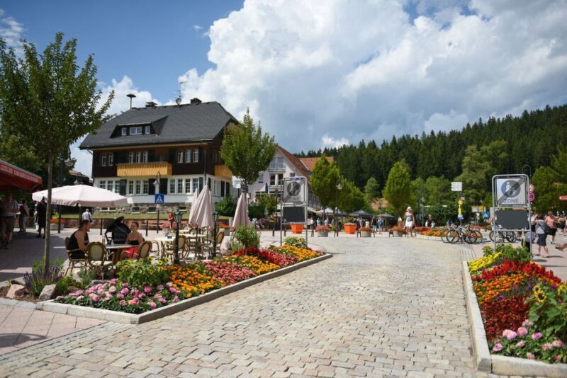 Private Tour from Zurich to Rhine Falls and Black Forest - FAQ
