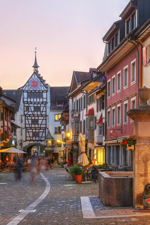 Private tour from Zurich to Rhine Falls & Stein am Rhein - A Personal Encounter with Switzerland’s Natural and Cultural Gems