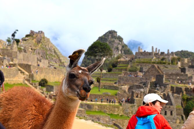 Private Tour, Full Day Machu Picchu with Lunch - Key Points