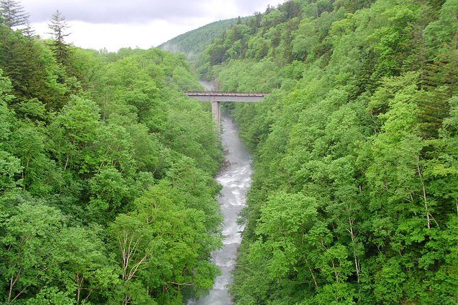 Private Tour: Full-Day Walking Tour with Professional Local Guide in Yakushima Island - Key Points