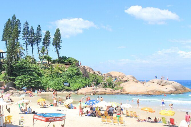 Private Tour - Full Island - Nature, beach and sea - Ecotour - Exploring Florianópolis: A Full-Day Ecotour of Beaches, Forests, and Views