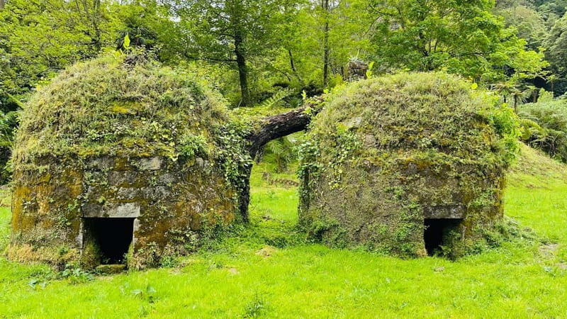 Private Tour Furnas: Furnas Lake Hike & Terra Nostra Park - FAQ