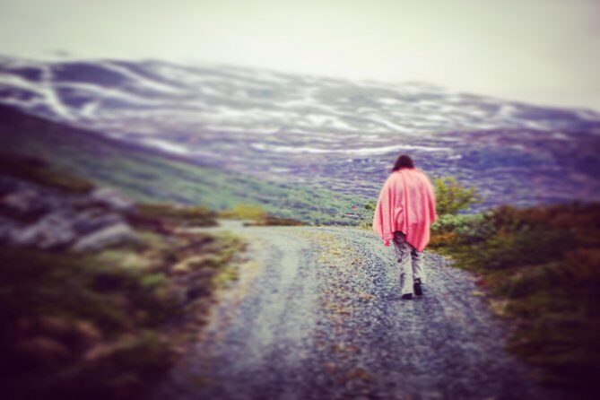 Private tour Geiranger and Glaciers 1 to 15 people - The Practicalities: What To Expect