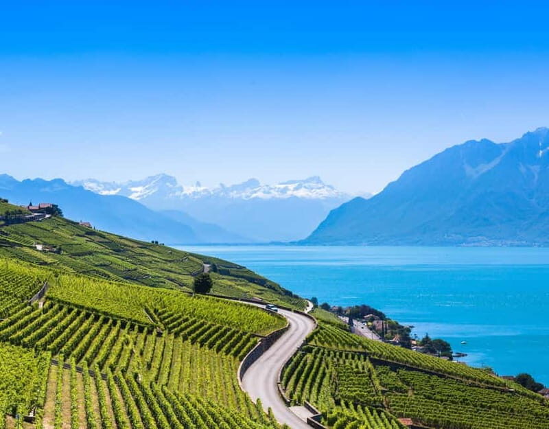 Private tour Geneva-Gruyère's: chocolate and cheese factory - Who Would Love This Tour?