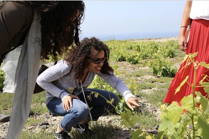 Private Tour: Great Wines and Famous Towns of Santorini - Who Should Consider This Tour?