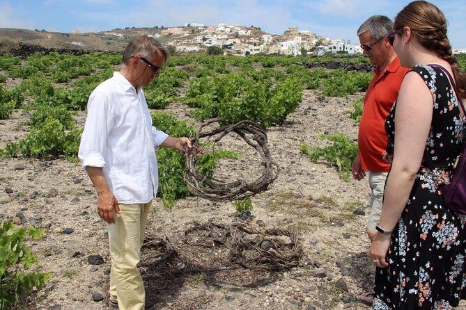Private Tour: Great Wines and Famous Towns of Santorini - Frequently Asked Questions