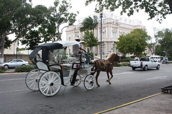 Private Tour Guide in Merida, 100% customisable - FAQ