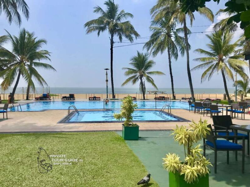 PRIVATE TOUR GUIDE IN SRI LANKA 6-days tour package. - Final Thoughts: Is This Tour Right for You?