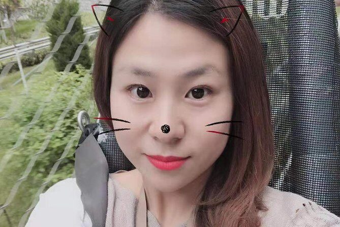 Private Tour Guide or Transfer for Terracotta Warriors and Xi'an - Who Would Love This Tour?