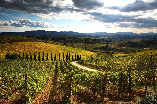 Private Tour: Guided Hike in Tuscany with Transport from Siena - Price and Value: A Well-Spent Day in Tuscany