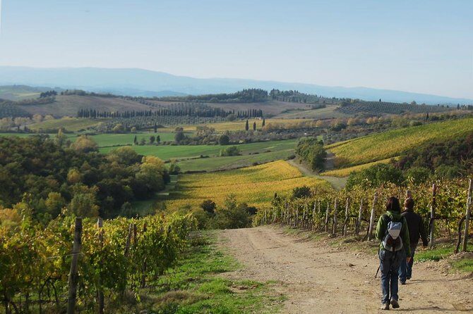 Private Tour: Guided Hike in Tuscany with Transport from Siena - The Sum Up: Is This Tour Right for You?