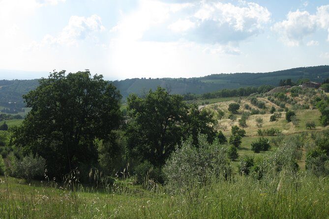 Private Tour: Guided Hike in Tuscany with Transport from Siena - FAQ