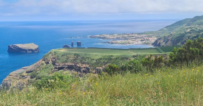 Private Tour Half Day Sete Cidades and pineapple production - What to Expect and Practical Details