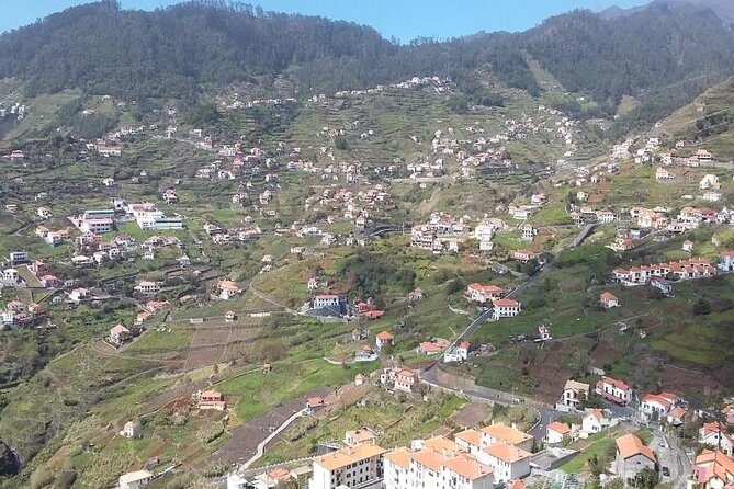 Private Tour Halfday South Madeira - Key Points