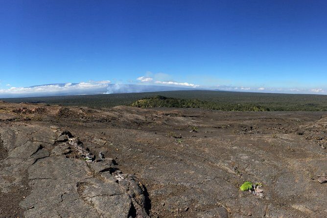 Private Tour: Hawaii Volcanoes National Park Eco Tour - Who Will Love This Tour?