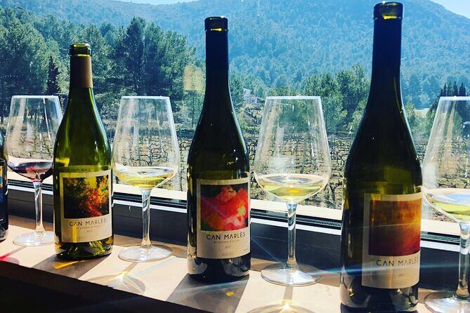 Private Tour - Hike and wine tasting at the Penedés - Frequently Asked Questions