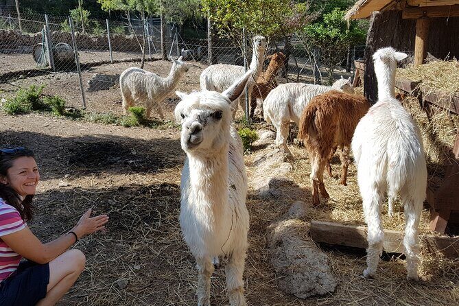 Private Tour - Hike and wine tasting at the Penedés - Final Thoughts