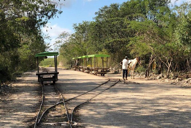 Private Tour: Homun Cenotes Day Trip - Who Should Consider This Tour?
