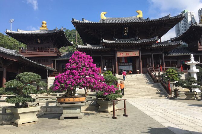 Private tour - Hong Kong's major sites and history - Exploring Hong Kong’s Major Sites and Hidden Stories: An In-depth Review