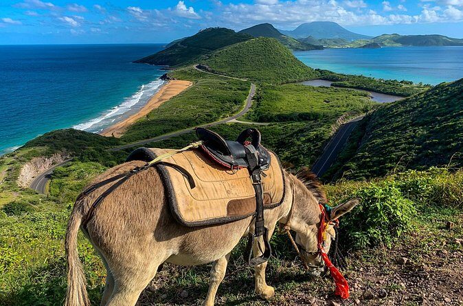 Private Tour Horseback Riding and Beach in St Lucia - FAQ