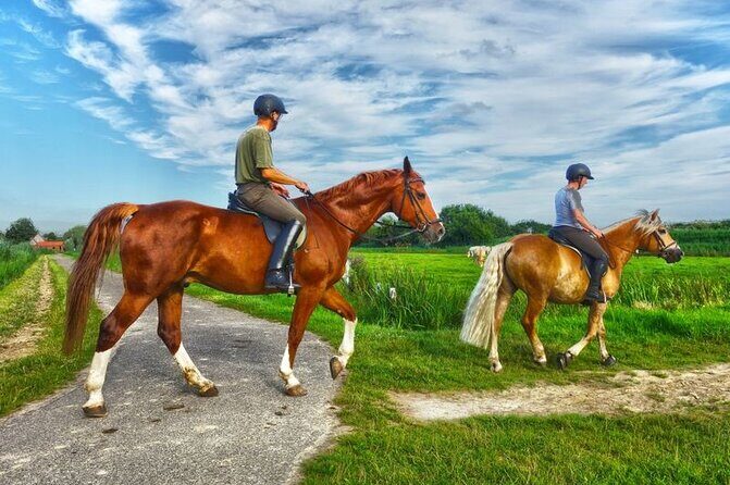 Private Tour Horseback Riding from Ocho Rios or Runaway Bay - Who Should Consider This Tour?