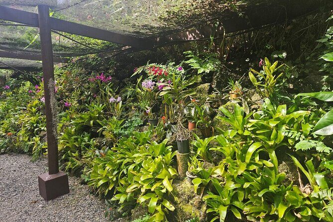 Private Tour: Hot spings & Sleeping Giant Garden hiking Adventure - Who Should Consider This Tour?