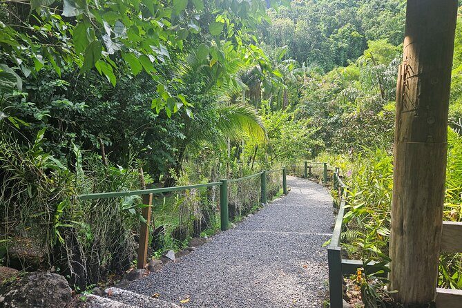 Private Tour: Hot spings & Sleeping Giant Garden hiking Adventure - FAQ