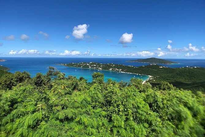 Private Tour Hull Bay Farm & Beach - An Authentic Day in Tortola: Private Tour of Hull Bay Farm & Beach