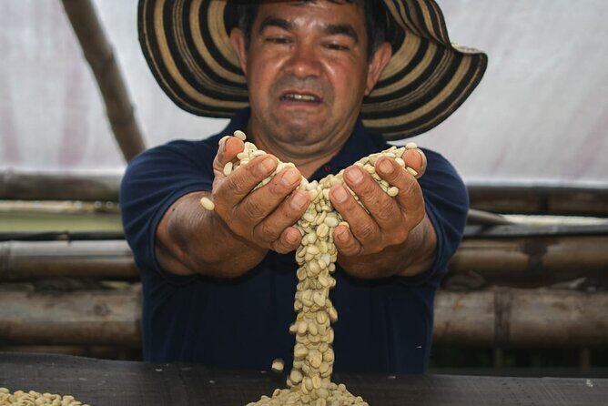 Private Tour in an Authentic, Ecological Local Coffee Finca. - Who Will Love This Tour?
