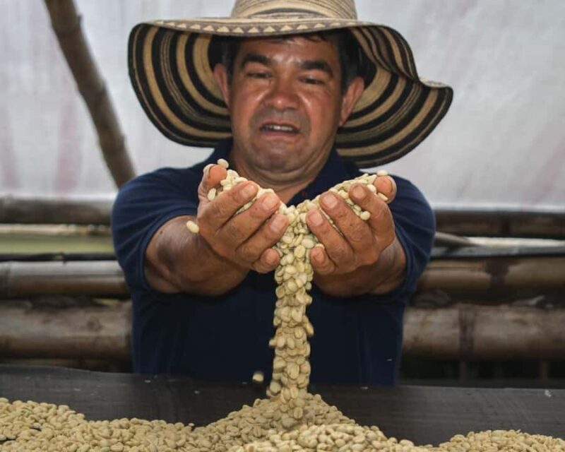 Private Tour in an Authentic, Ecological Local Coffee Finca - Final Thoughts