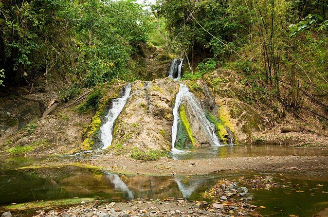 Private Tour in Aripo Waterfall Adventure from Port of Spain - Who Should Consider This Tour?