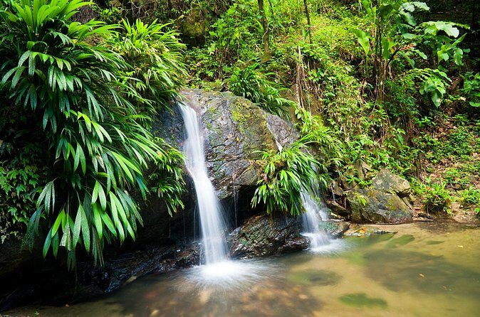 Private Tour in Aripo Waterfall Adventure from Port of Spain - Frequently Asked Questions